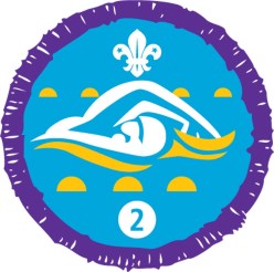 Swimming badge stage 2
